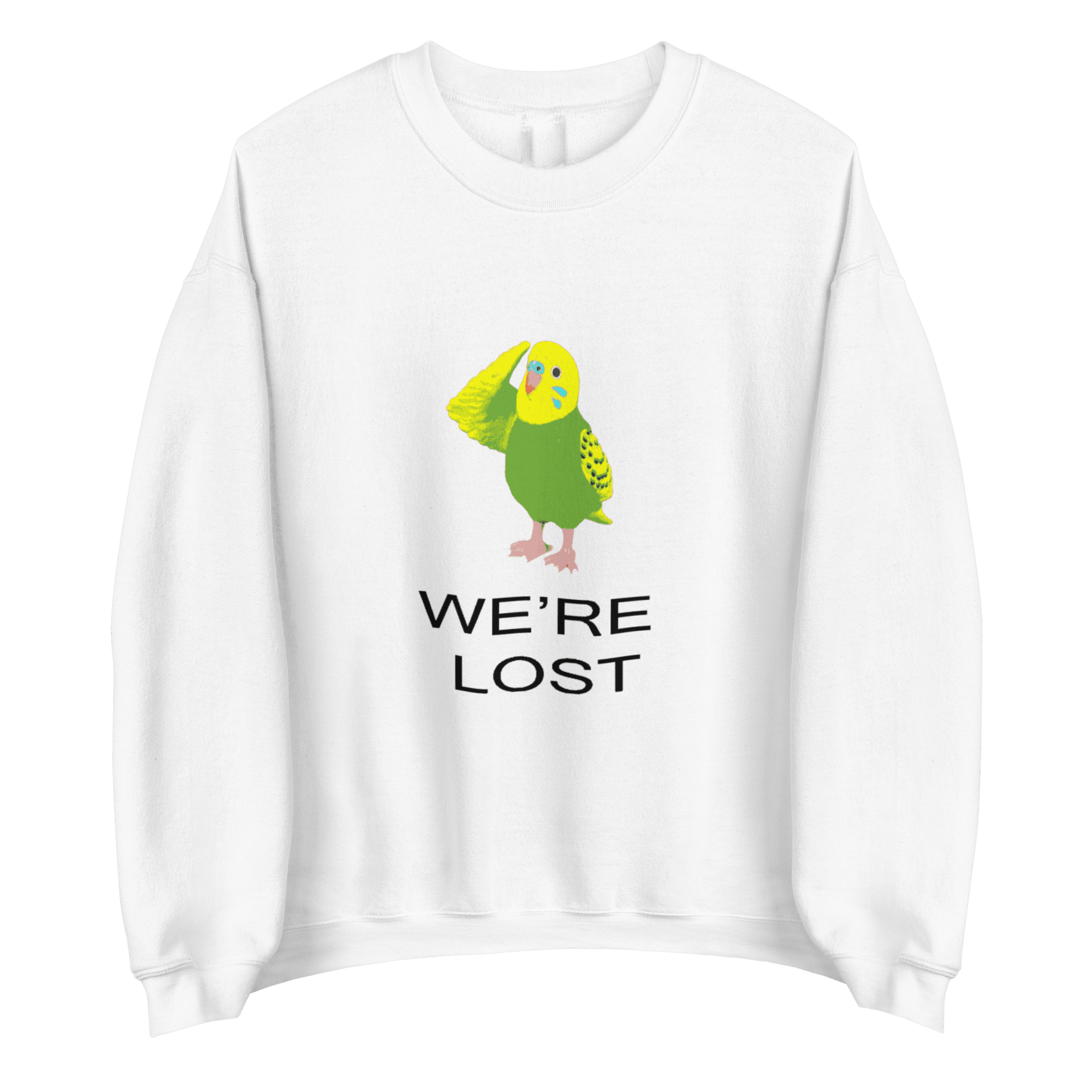 WE'RE LOST® Sweatshirt - Kikillo Club